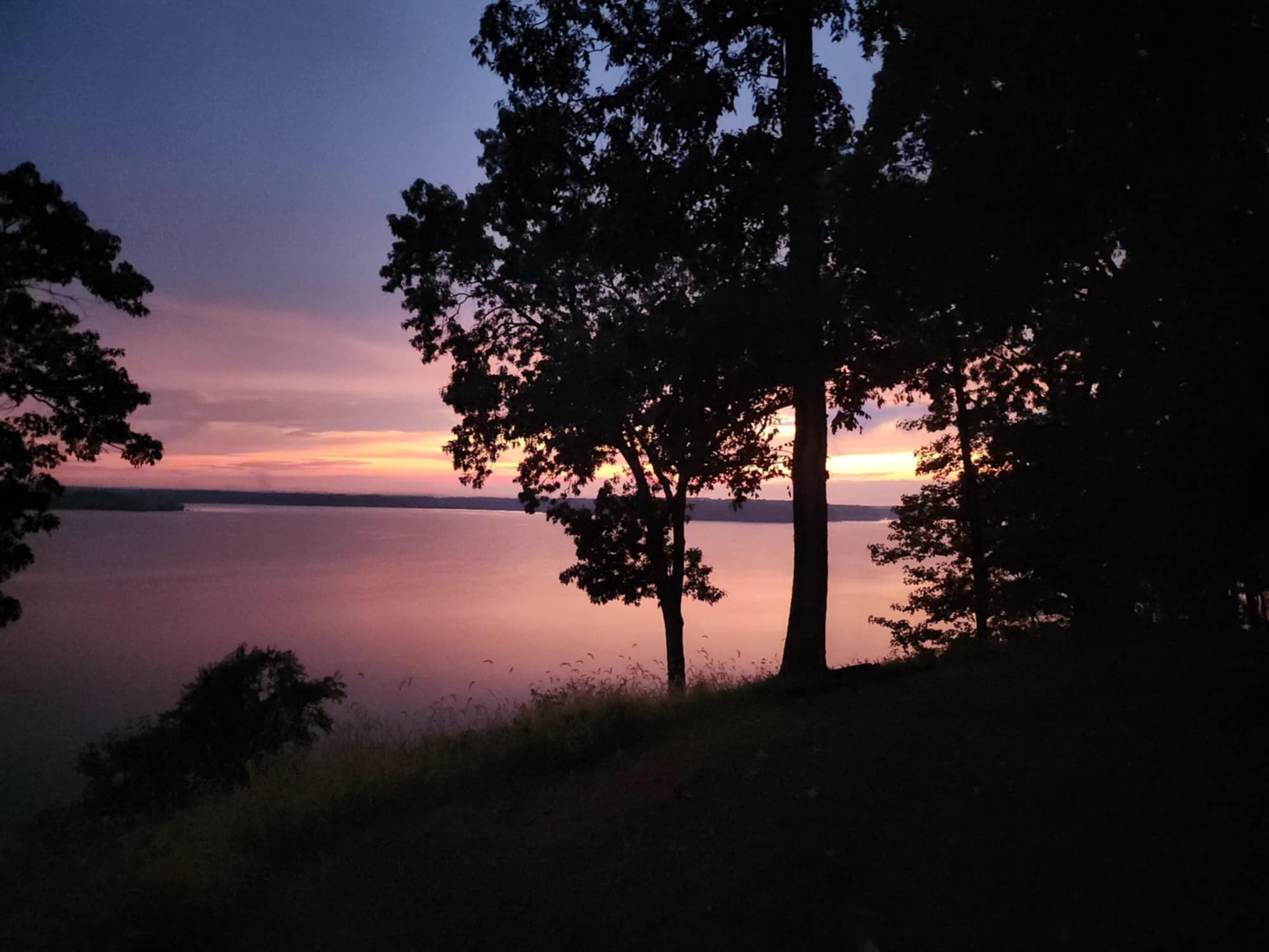 439 Bluff Road Big Sandy, TN 38221 - Photo 46 of 86