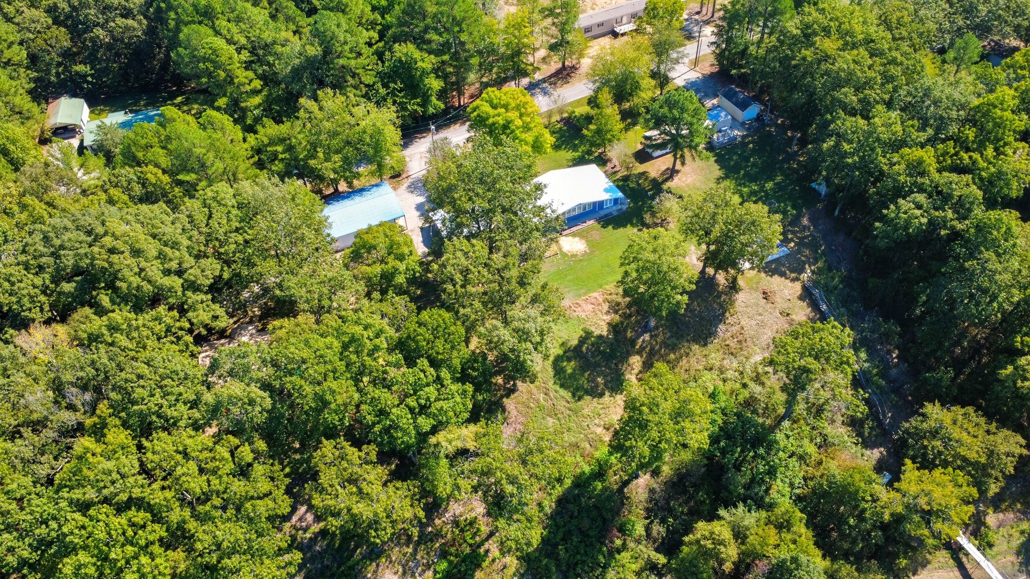 439 Bluff Road Big Sandy, TN 38221 - Photo 54 of 86 a view of a tree in a garden