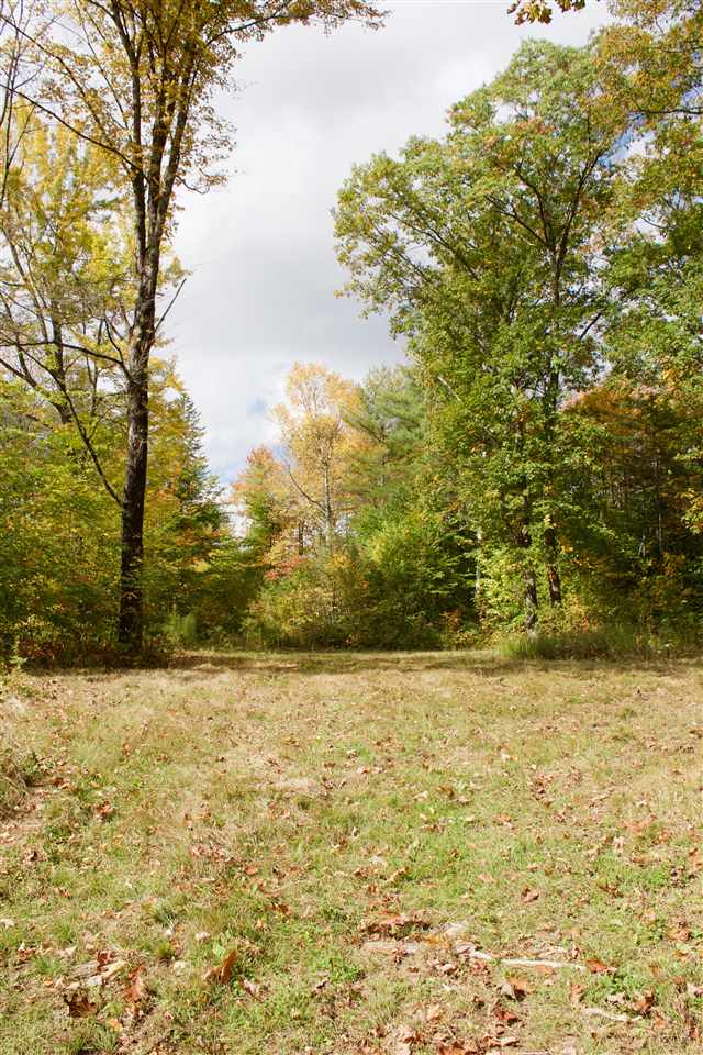 1542 Windham Hill Road Townshend, VT 05359 - Photo 22 of 27