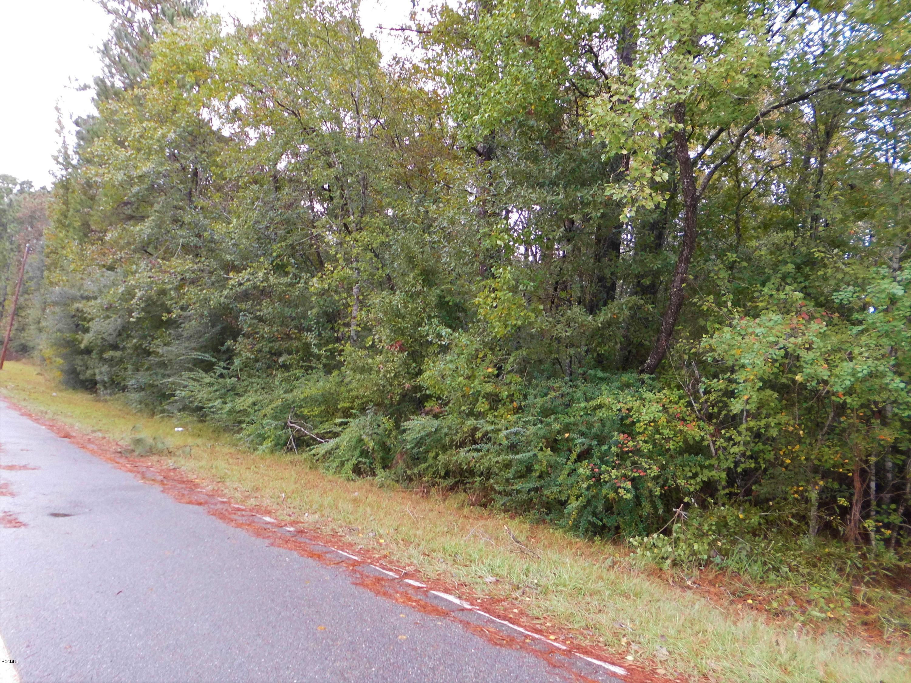timberland Road Lot 1