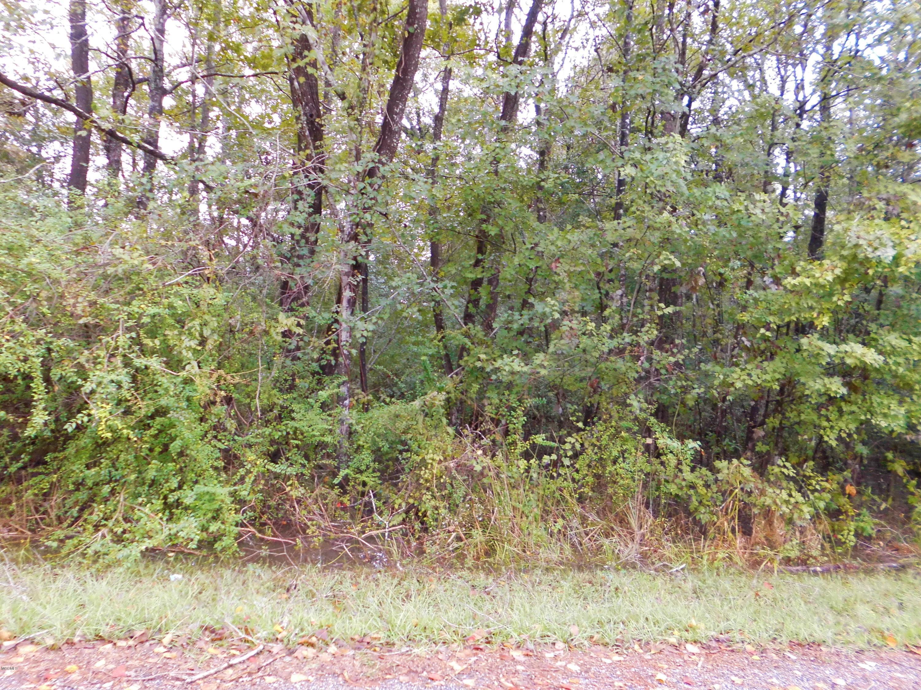 pic Lot 1