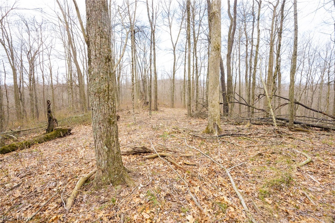 71 Township Road Killbuck, OH 44637 - Photo 26 of 39