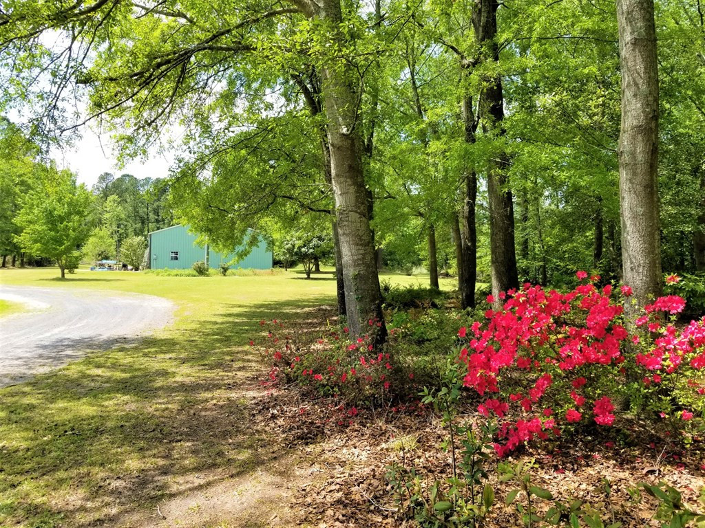 2338 M W Rickenbaker Road Manning, SC 29102 - Photo 6 of 31 Gallery Image 6