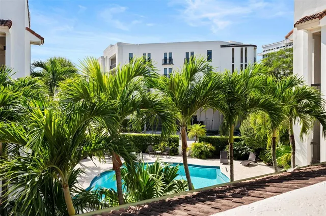 a view of a potted plants with palm trees