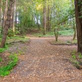 a backyard of a house with lots of green space