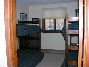 8 Birch Hill Road, Unit 6 Winhall, VT 05340 - Photo 9 of 9