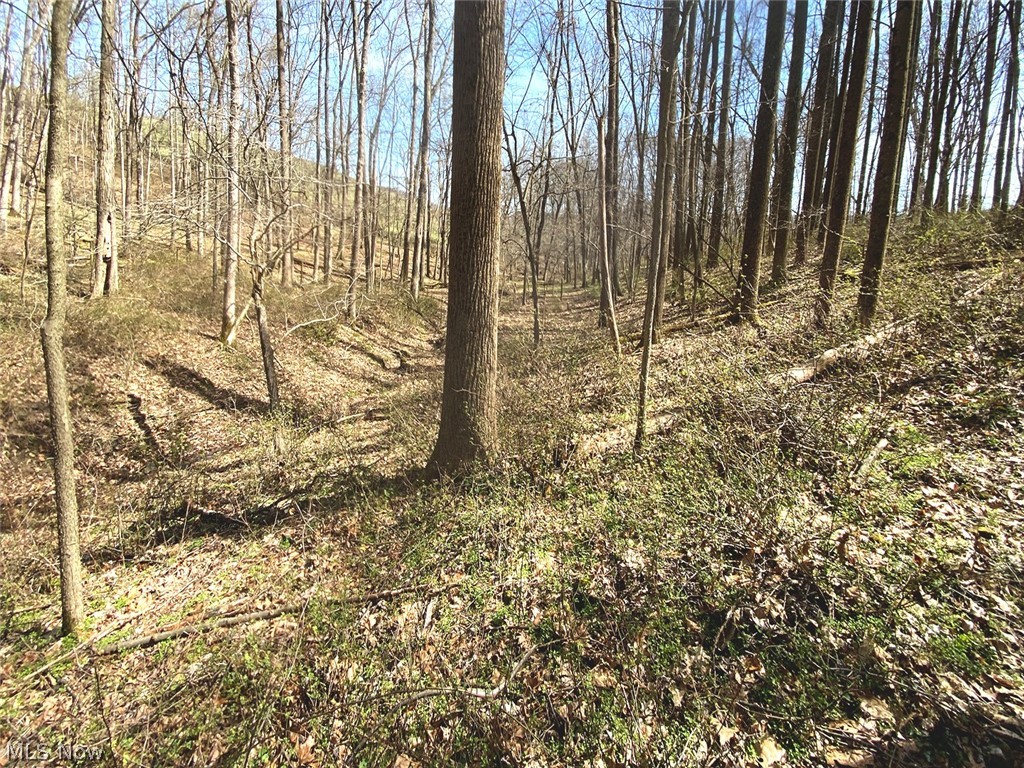 0 Township Road Coshocton, OH 43812 - Photo 14 of 24