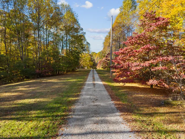 a view of pathway with yard