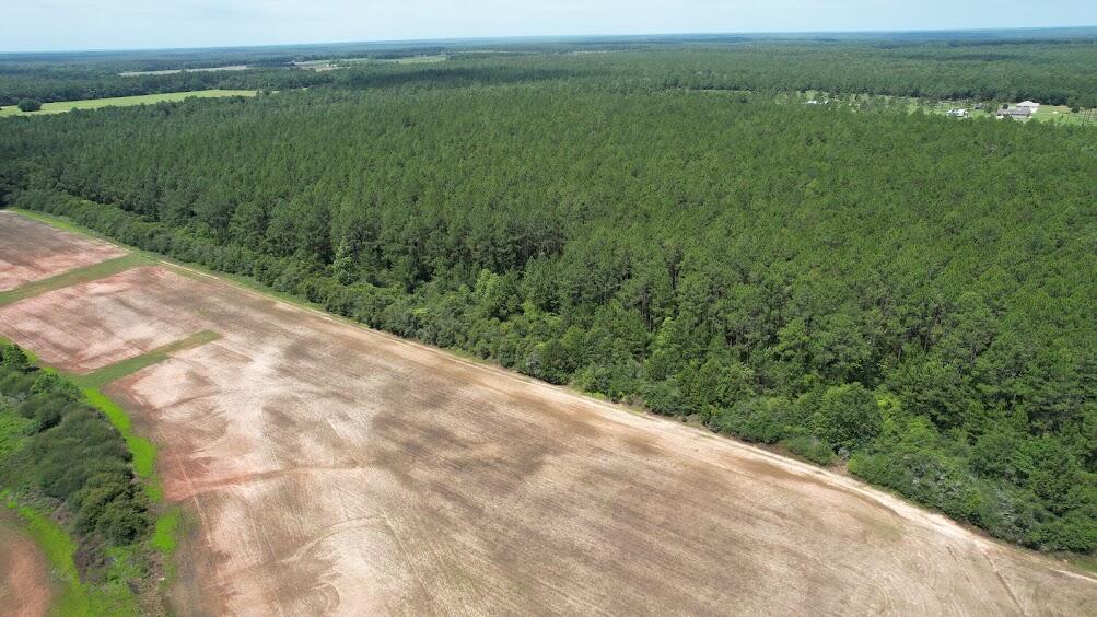0 Melton Road Baker, FL 32531 - Photo 3 of 7 Aerial View 1