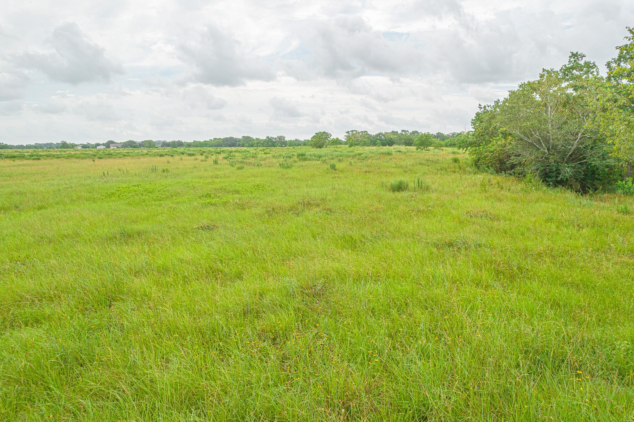15-acres Bernardo Road Cat Spring, TX 78933 - Photo 11 of 11 a view of an ocean from a yard