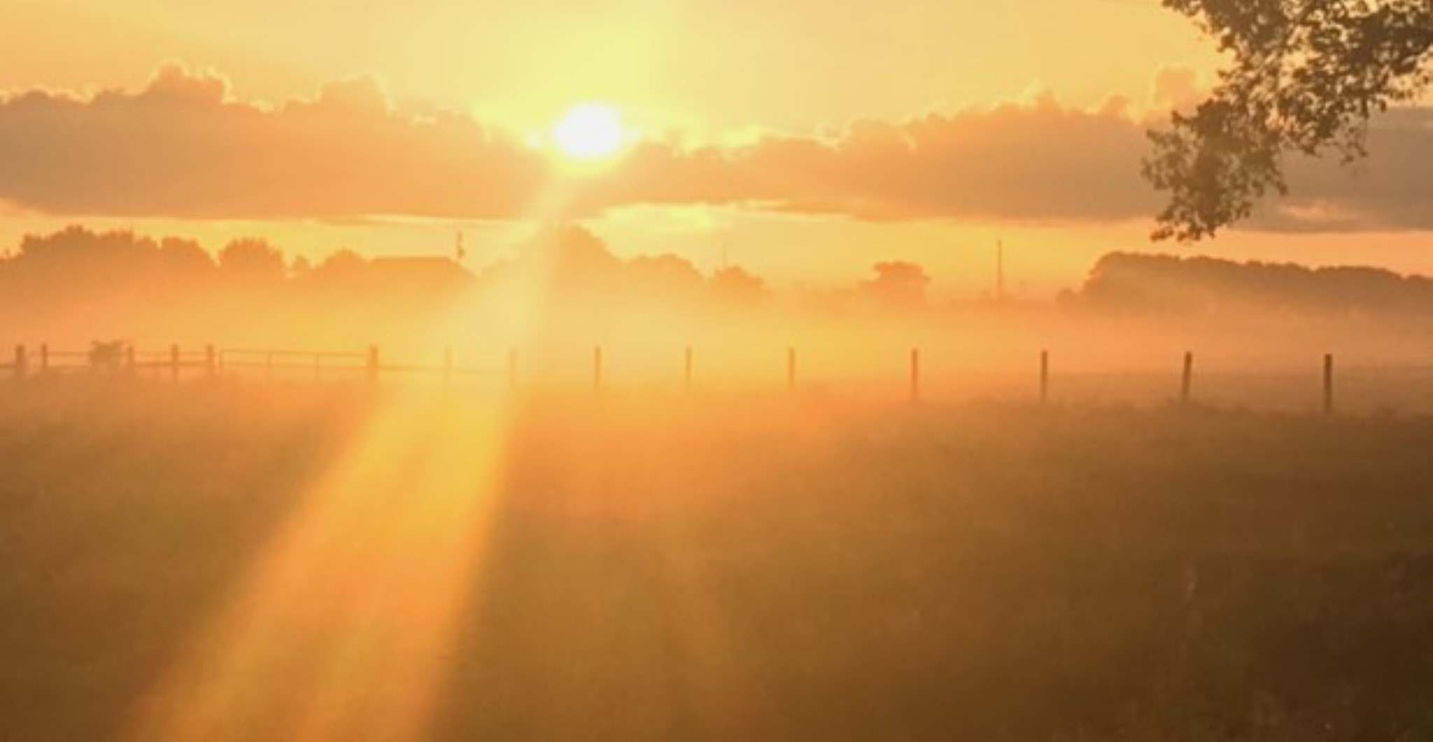 15-acres Bernardo Road Cat Spring, TX 78933 - Photo 5 of 11 a view of beach and an ocean