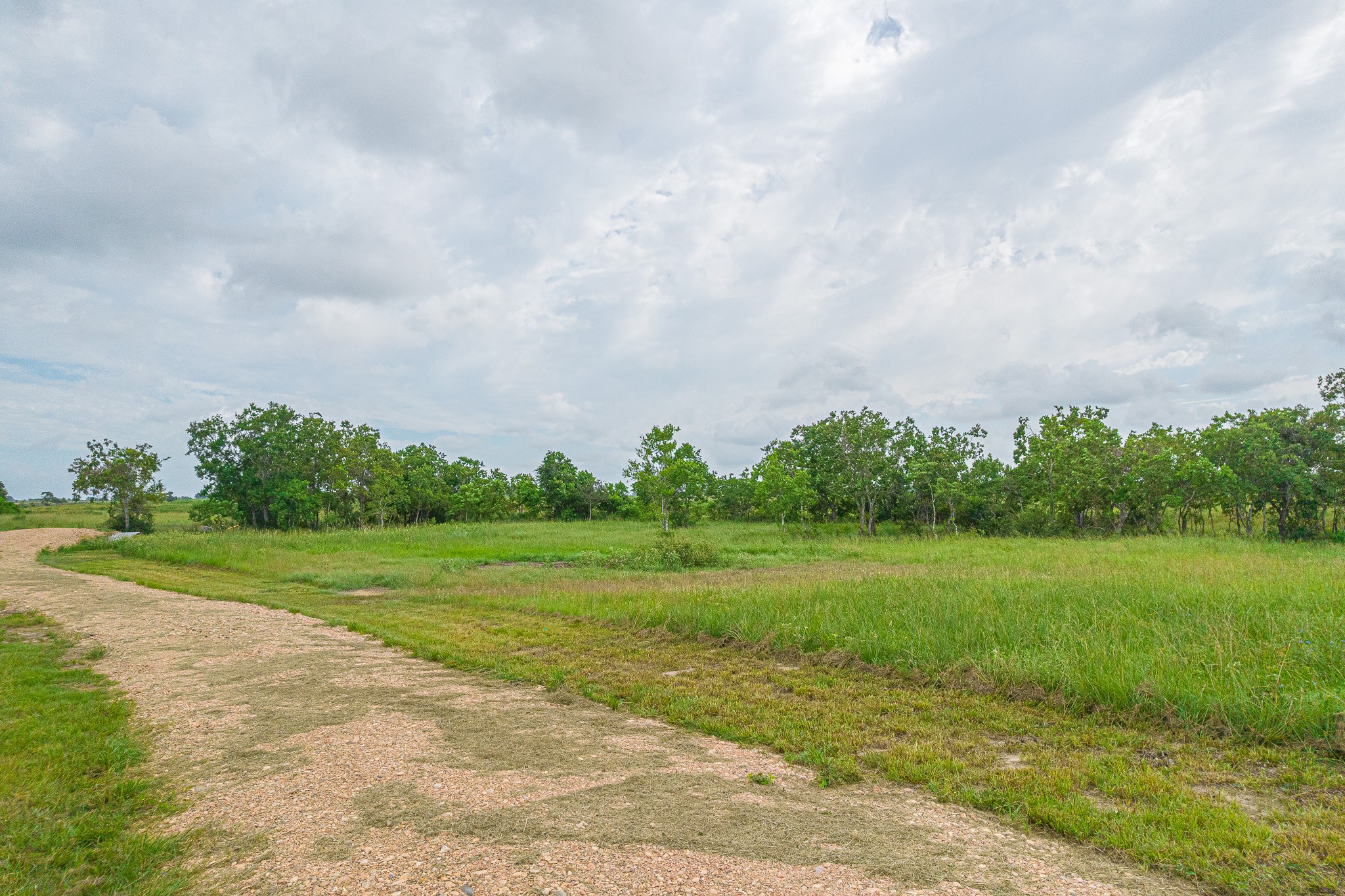 15-acres Bernardo Road Cat Spring, TX 78933 - Photo 6 of 11 a view of a field and trees in the background