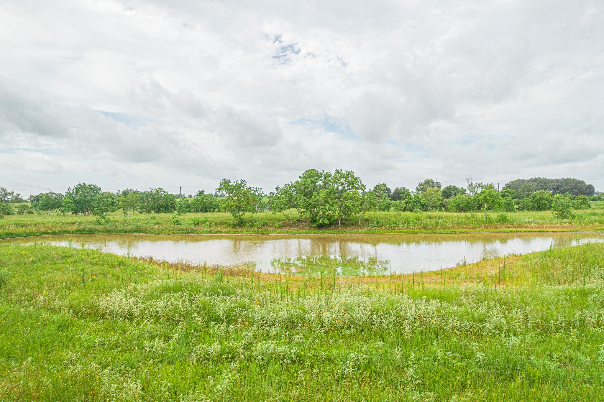 15-acres Bernardo Road Cat Spring, TX 78933 - Photo 9 of 11 a view of a lake with houses in the back