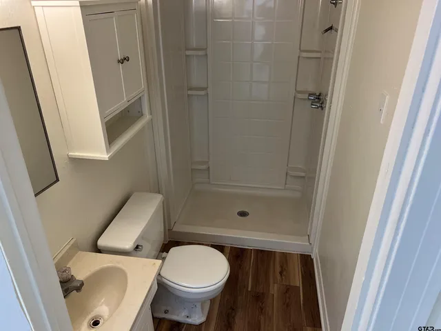 a bathroom with a sink and a toilet