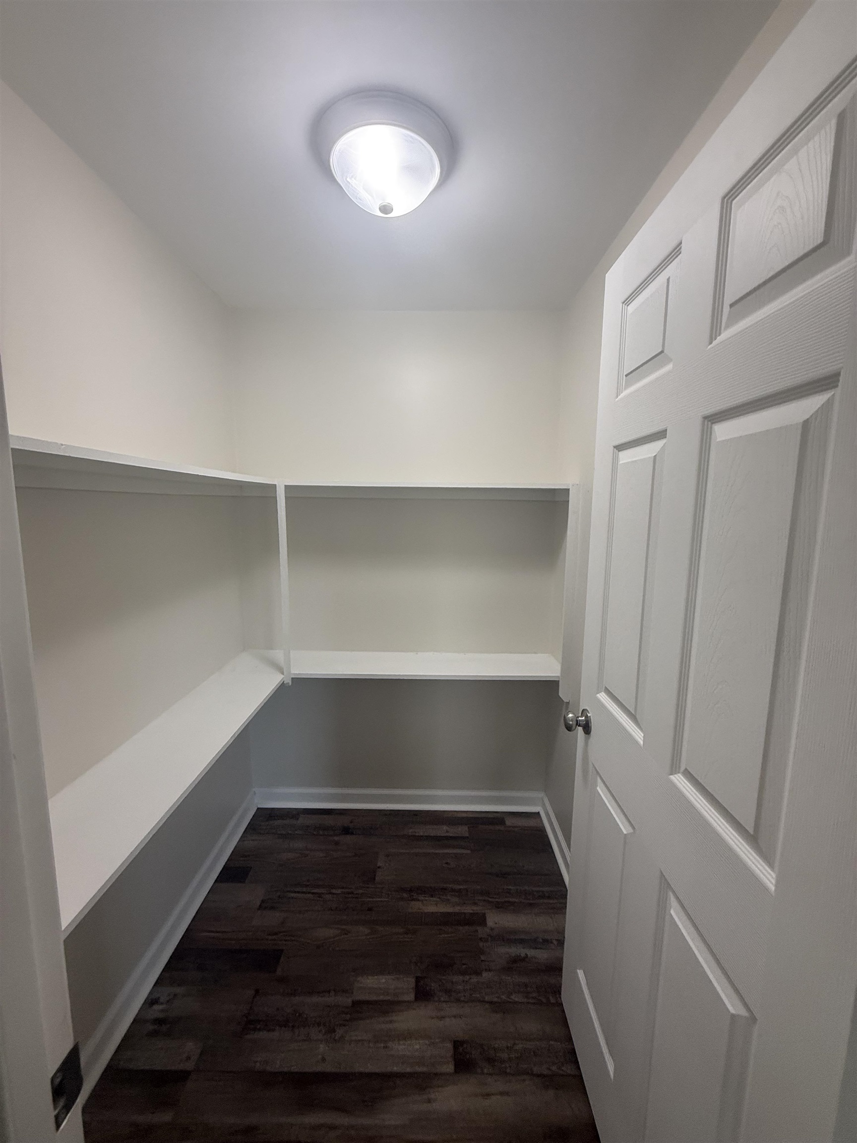 170 Leapwood Road Enville, TN 38332 - Photo 12 of 33 Walk-in pantry featuring white built-in shelving, dark wood-finish flooring, and a flush-mount ceiling light