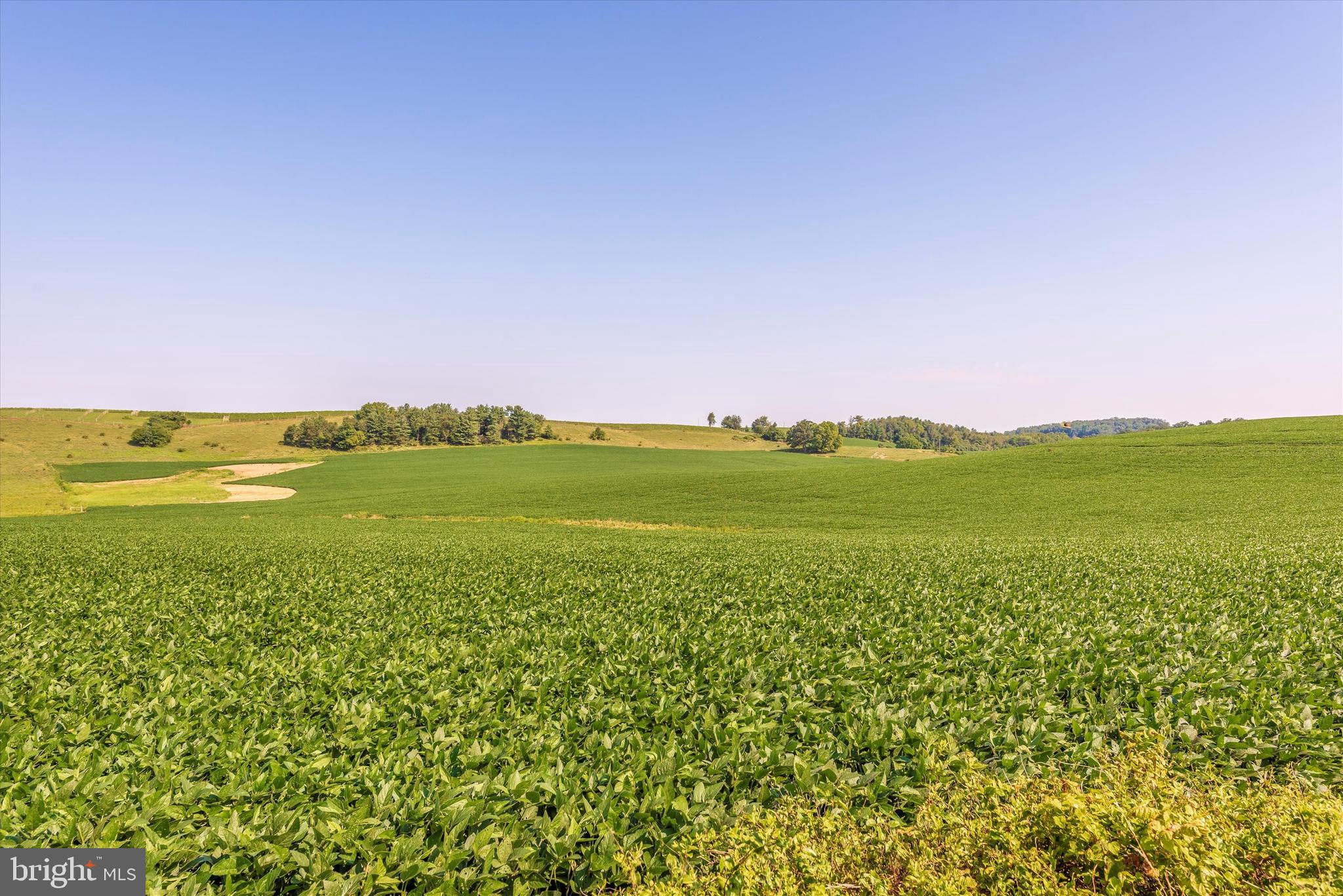 8140 Mapleville Road Mount Airy, MD 21771 - Photo 43 of 43 Exterior Front-View