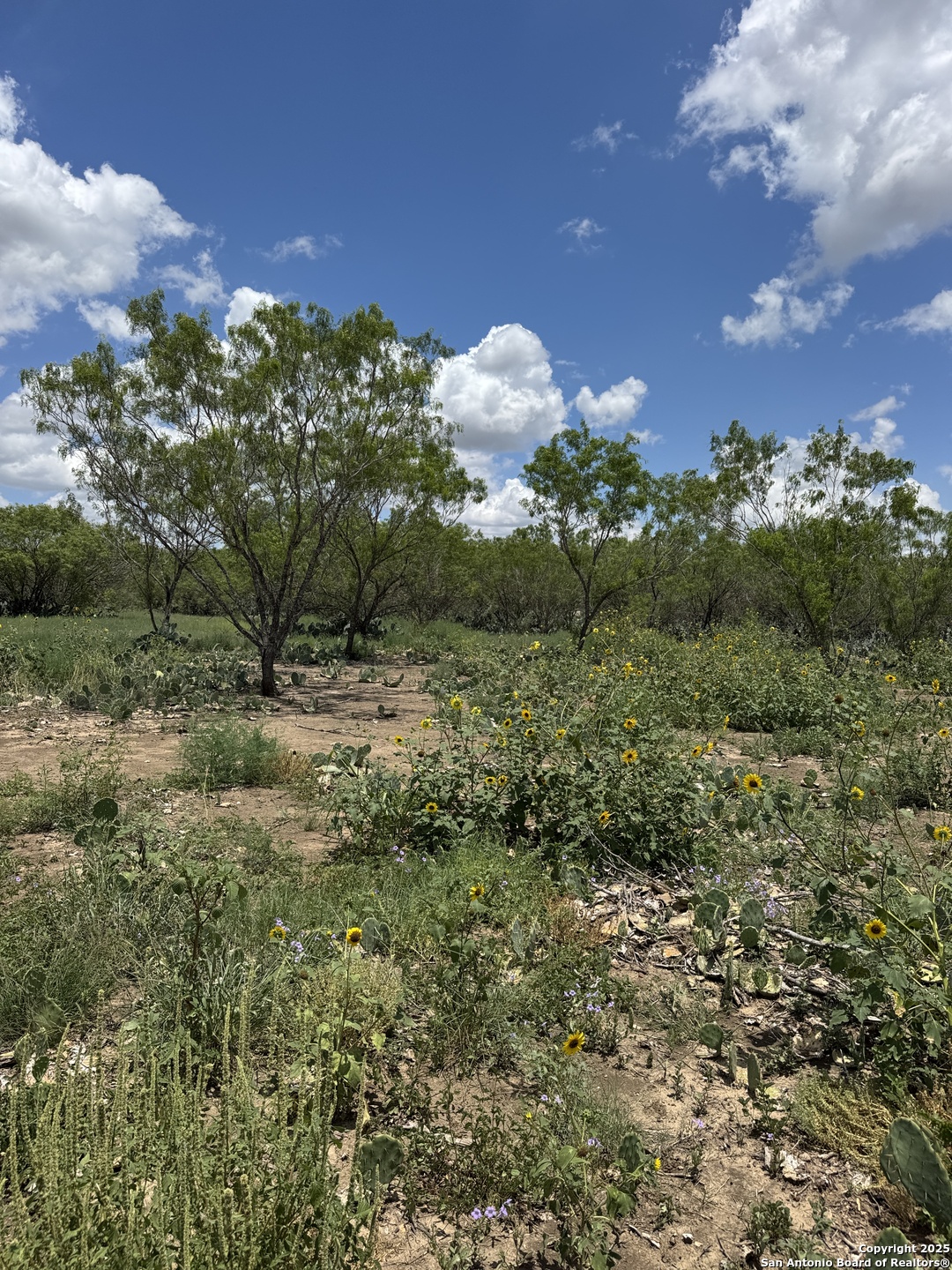 5 Windmill Ranchettes Cr 329 Pleasanton, TX 78064 - Photo 2 of 3 a view of a bunch of trees and houses