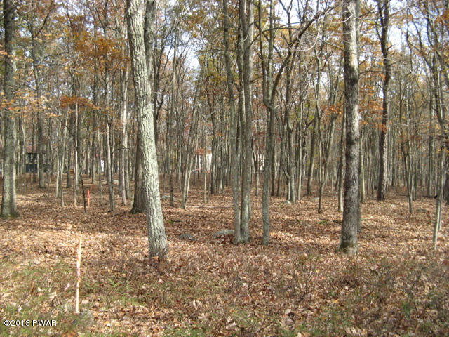 Robin Way Lackawaxen, PA 18435 - Photo 1 of 23