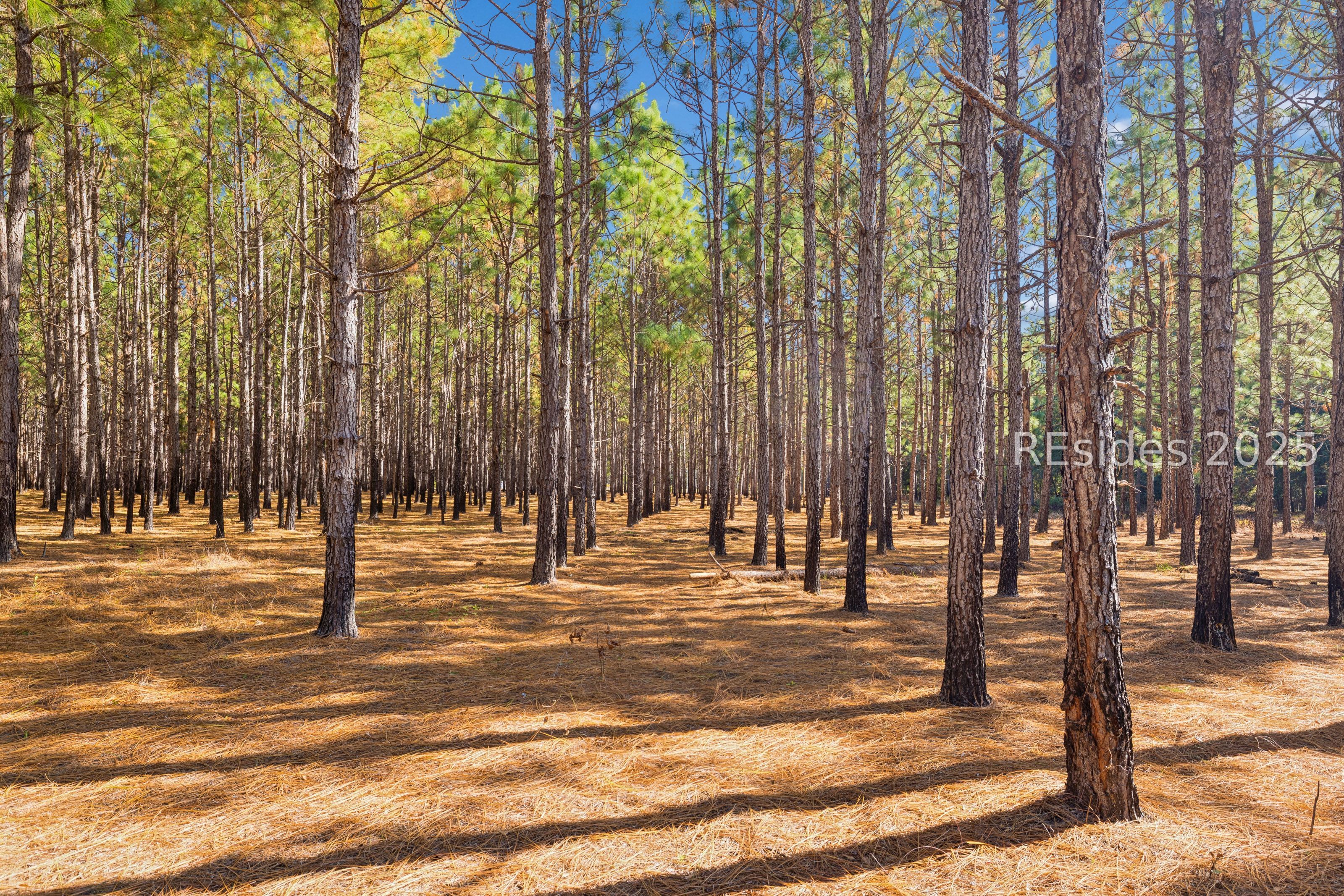 0 Morgandollar Road Ridgeland, SC 29936 - Photo 37 of 38