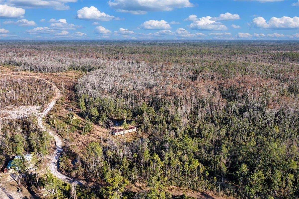 8412 Southwest Tower Road Madison, FL 32340 - Photo 22 of 32