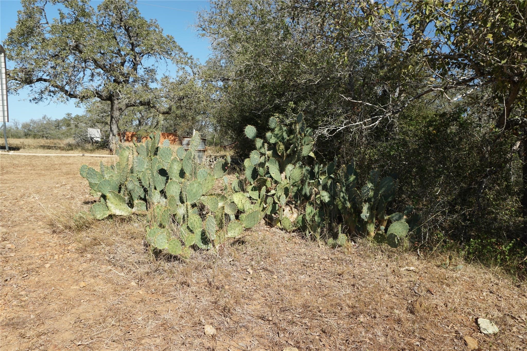 0 Old Seguin Luling Road Kingsbury, TX 78638 - Photo 27 of 27 a view of a yard with a tree