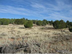 31050 Pipeline Road Seligman, AZ 86337 - Photo 6 of 12 Gallery Image 6