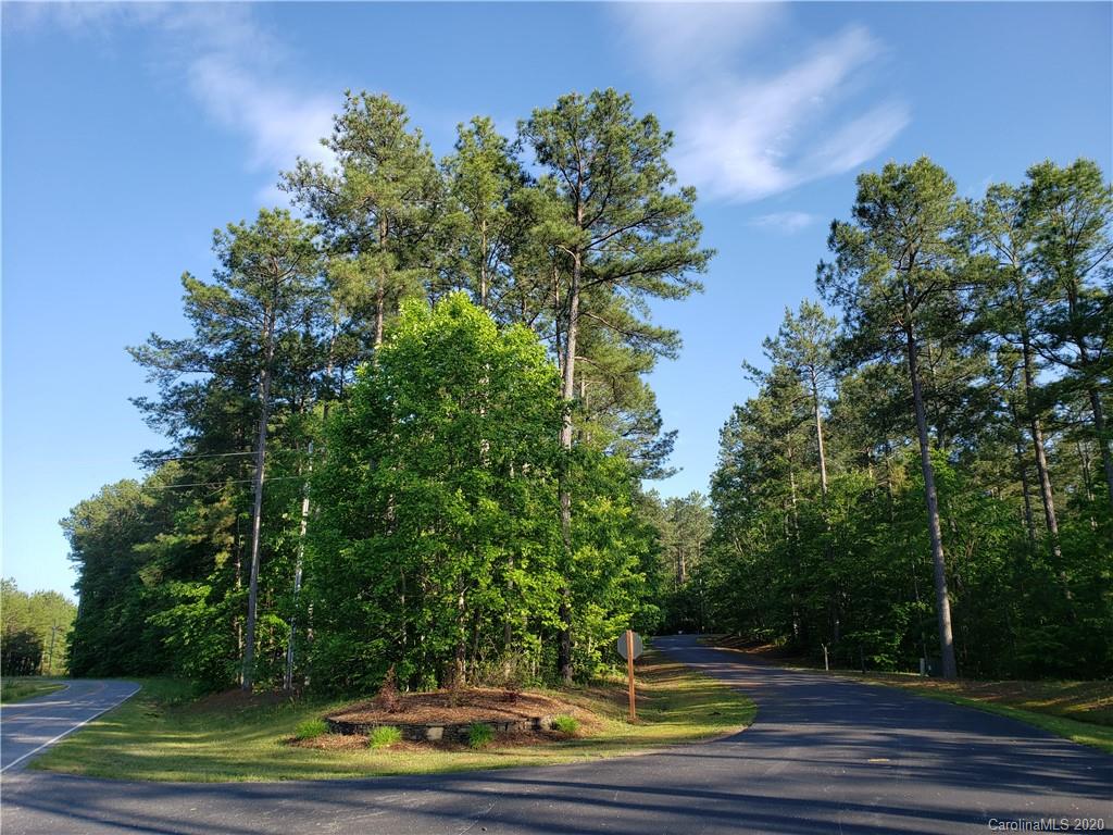 0 Loblolly Ln Mill Spring, Unit 23 & 24 Mill Spring, NC 28756 - Photo 2 of 18 a view of a yard