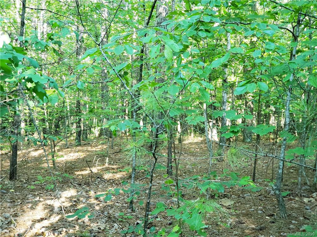 0 Loblolly Ln Mill Spring, Unit 23 & 24 Mill Spring, NC 28756 - Photo 11 of 18 a backyard of a house with lots of green space and lake view