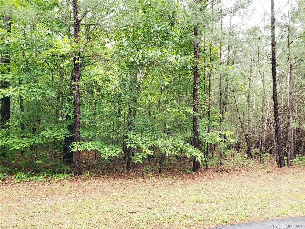 0 Loblolly Ln Mill Spring, Unit 23 & 24 Mill Spring, NC 28756 - Photo 12 of 18 a view of a yard with plants and large trees