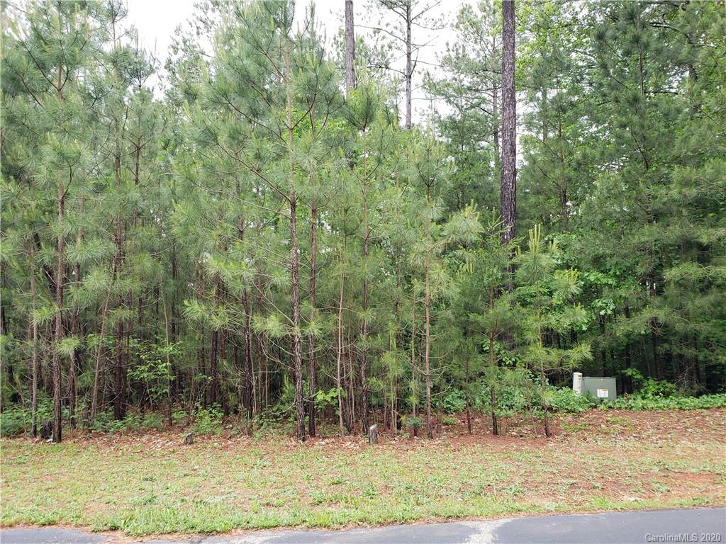 0 Loblolly Ln Mill Spring, Unit 23 & 24 Mill Spring, NC 28756 - Photo 13 of 18 a view of a forest filled with trees