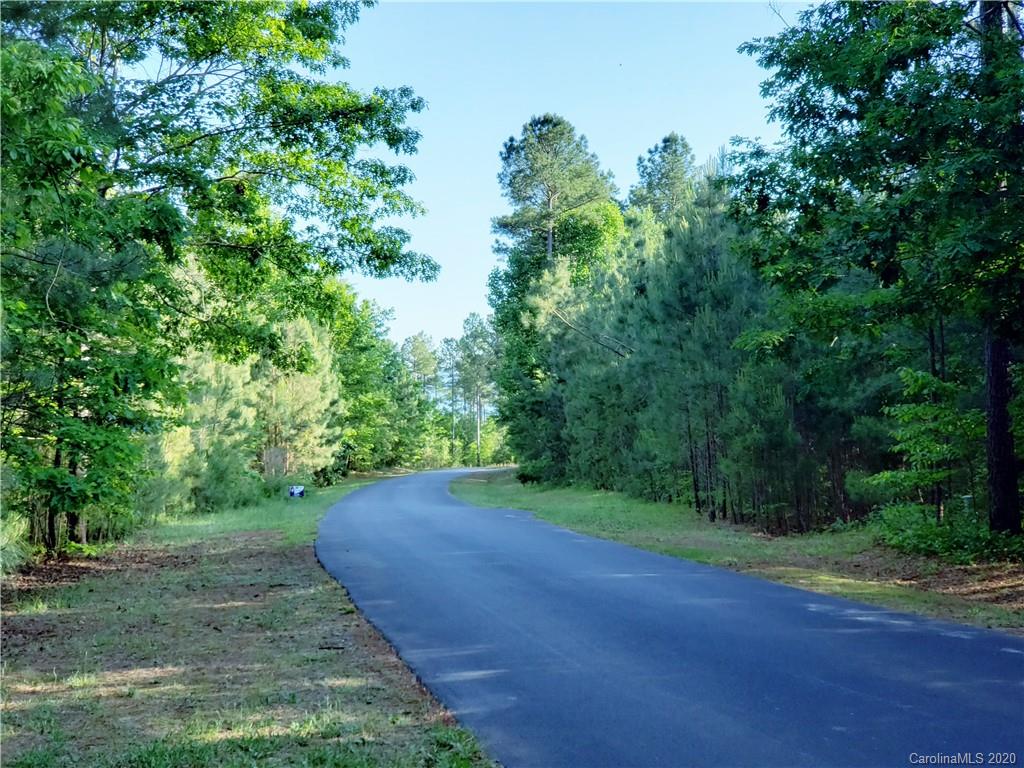 0 Loblolly Ln Mill Spring, Unit 23 & 24 Mill Spring, NC 28756 - Photo 15 of 18 a view of a yard with a tree