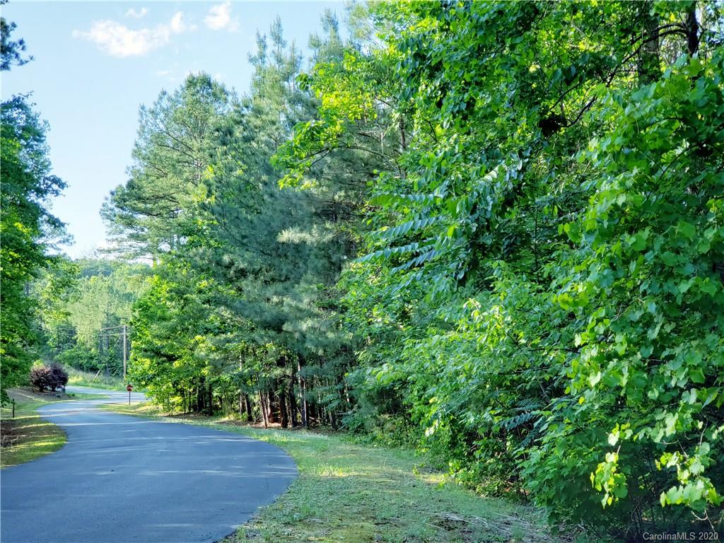 0 Loblolly Ln Mill Spring, Unit 23 & 24 Mill Spring, NC 28756 - Photo 16 of 18 a view of a yard with plants and large trees