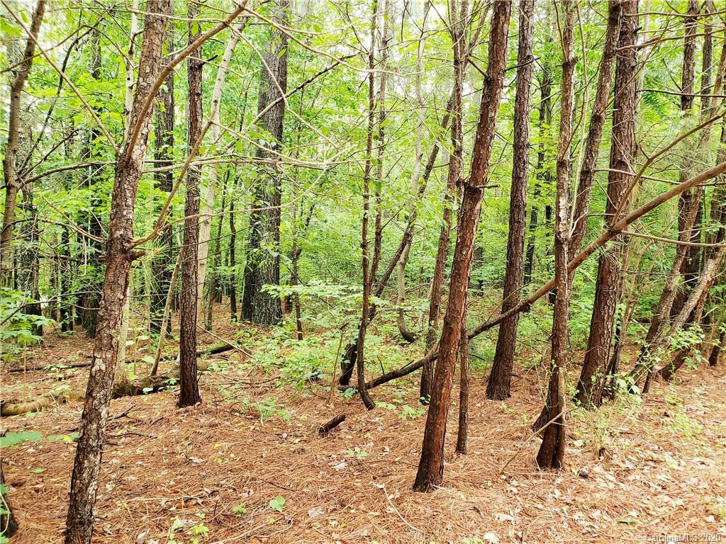 0 Loblolly Ln Mill Spring, Unit 23 & 24 Mill Spring, NC 28756 - Photo 5 of 18 a view of a yard with plants and trees