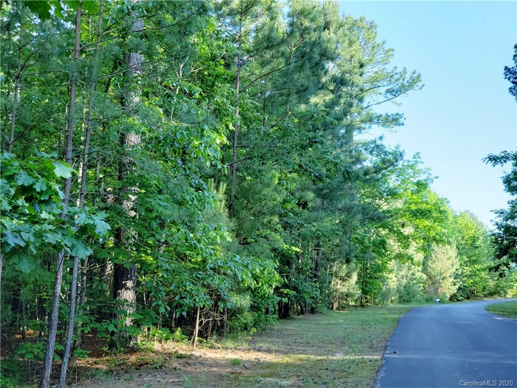 0 Loblolly Ln Mill Spring, Unit 23 & 24 Mill Spring, NC 28756 - Photo 9 of 18 a view of a yard