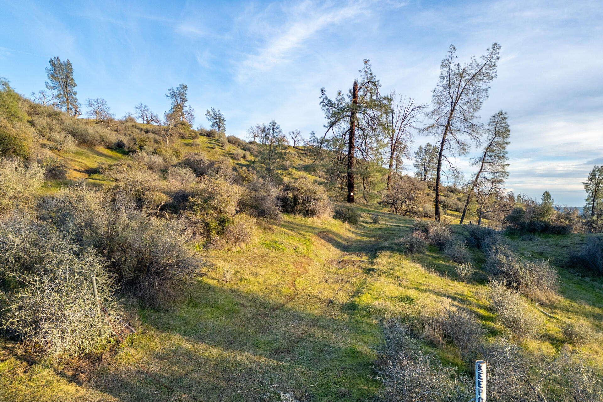 233 Tolowa Road Igo, CA 96047 - Photo 3 of 16 DJI_0007-HDR