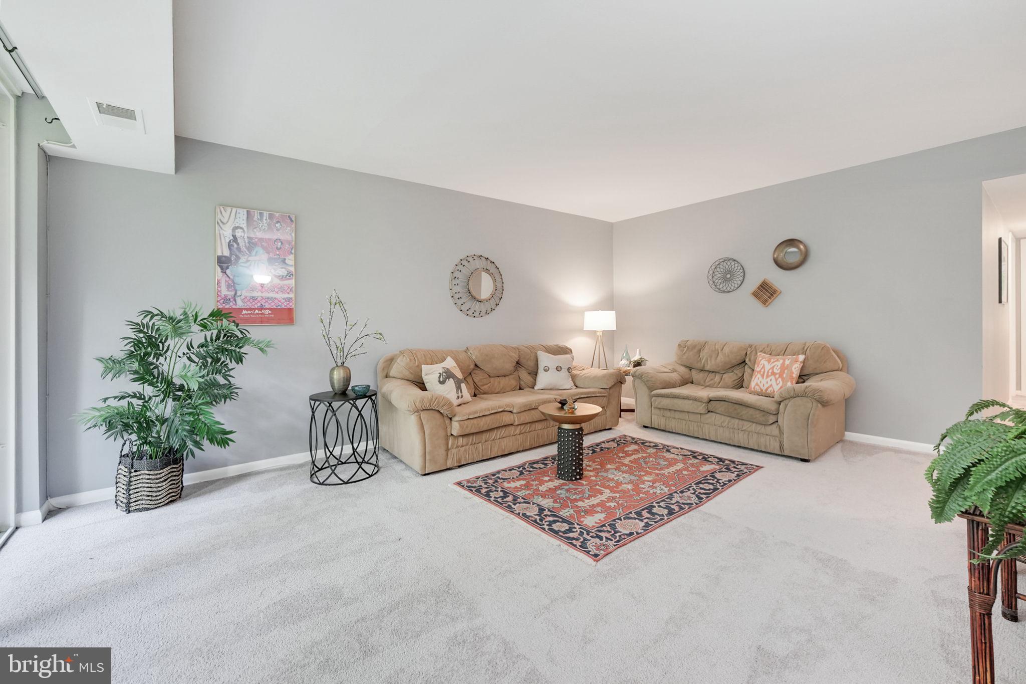 newer carpets