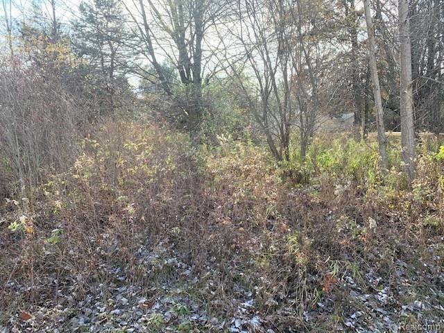 V/l West Mount Morris Road Flushing, MI 48433 - Photo 3 of 6