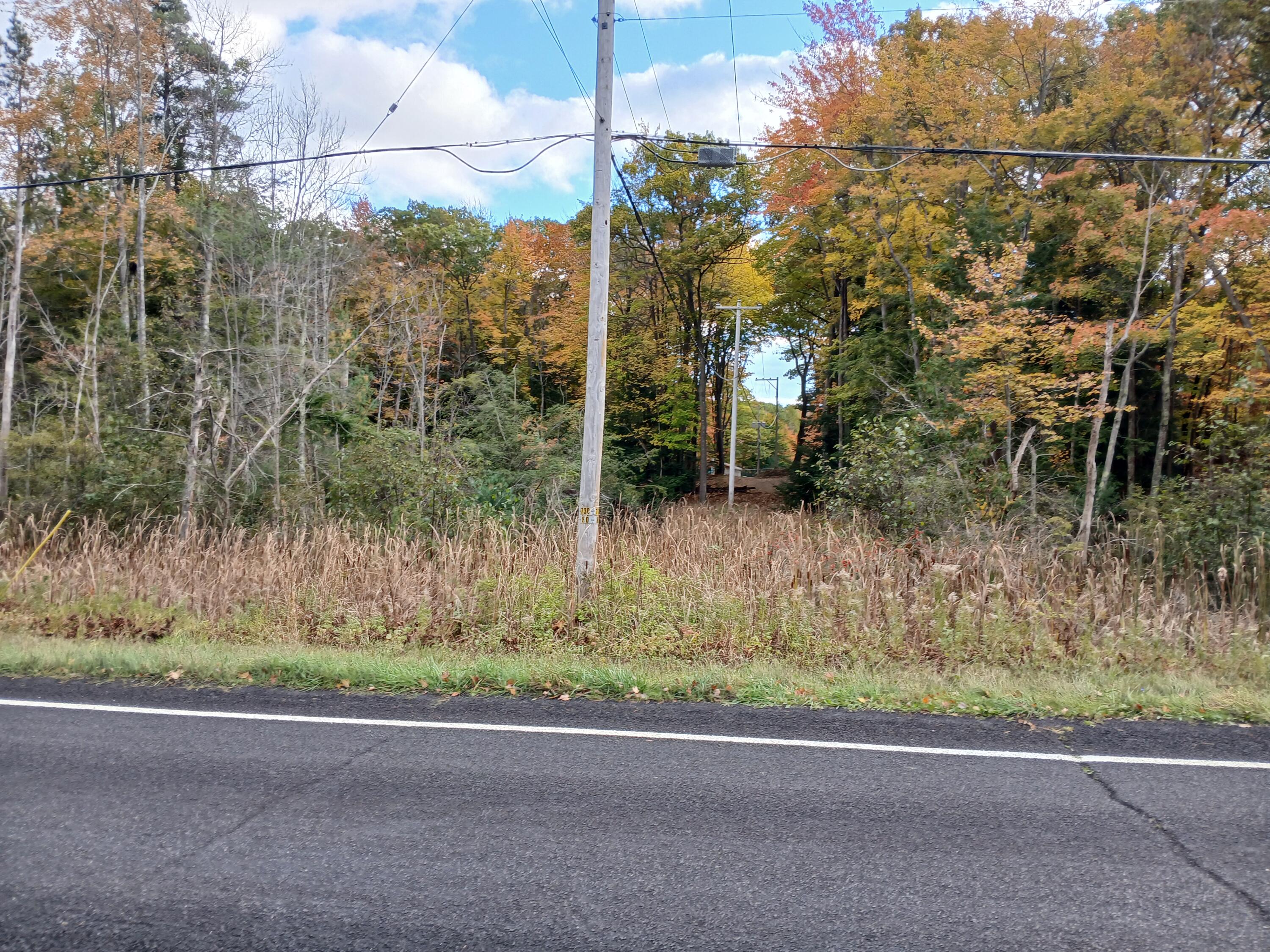 7087 West Jagger Road Ludington, MI 49431 - Photo 4 of 11 W property line utility easement