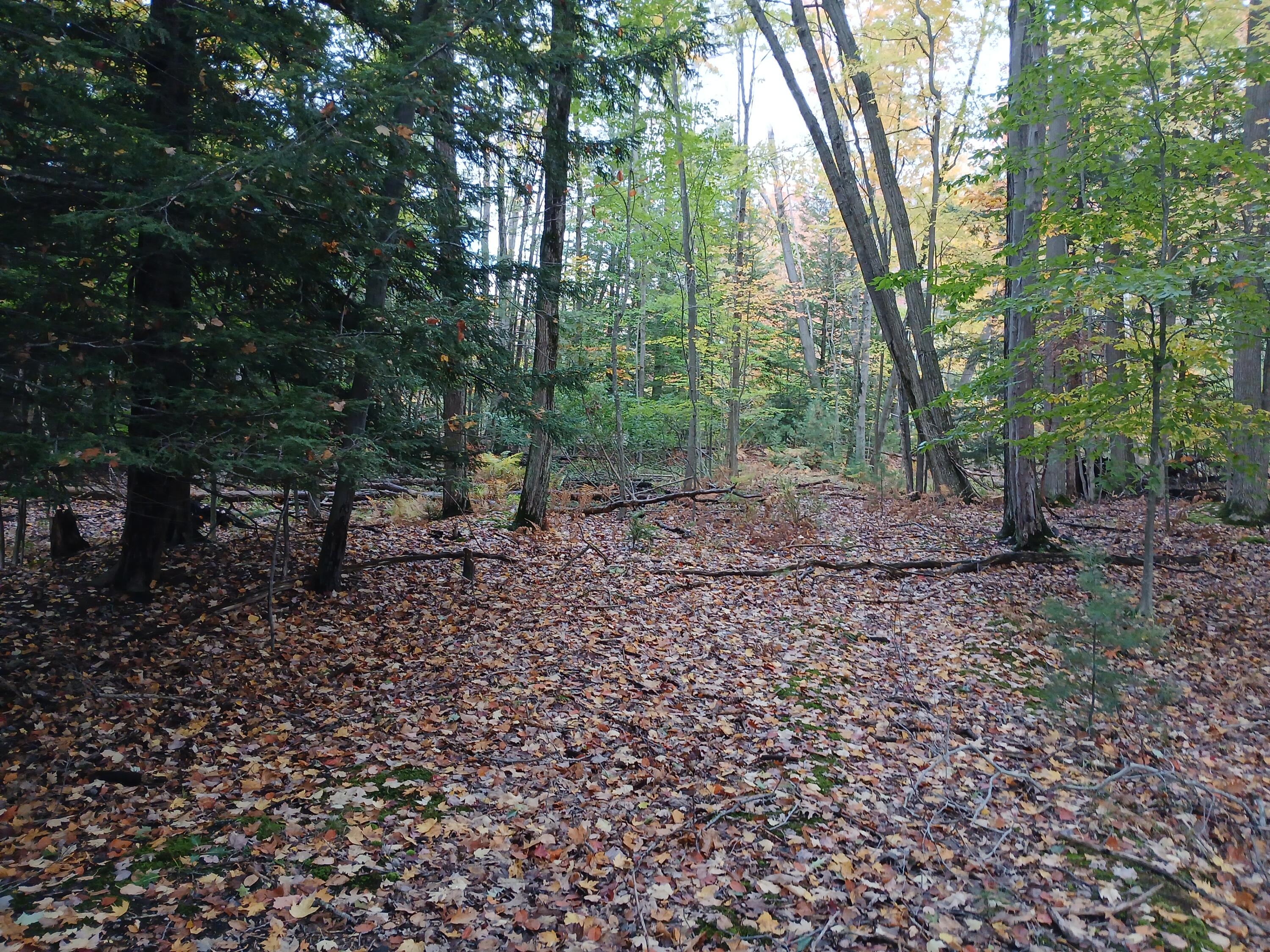 7087 West Jagger Road Ludington, MI 49431 - Photo 9 of 11 Higher area