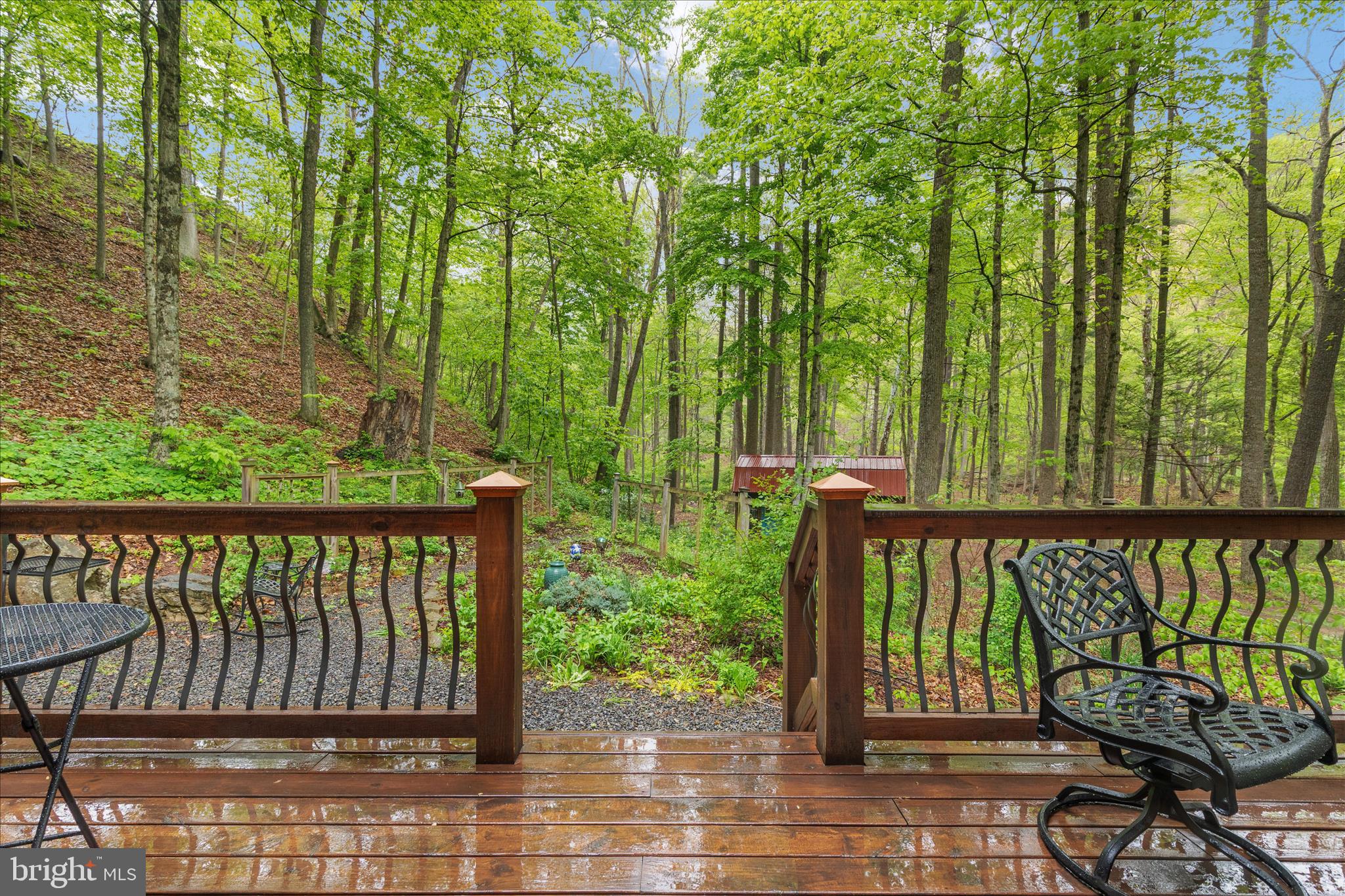 13581 Ford Hill Road Rio, WV 26755 - Photo 36 of 70 2E6A1152_13581 Ford Hill Rd - Absolute Altitude -