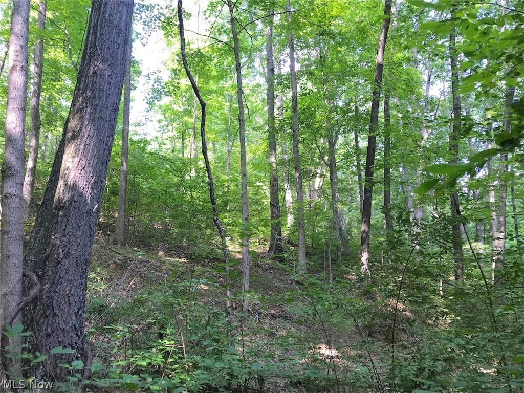 West Boyd Hall Road Piedmont, OH 43983 - Photo 12 of 35 Gallery Image 12
