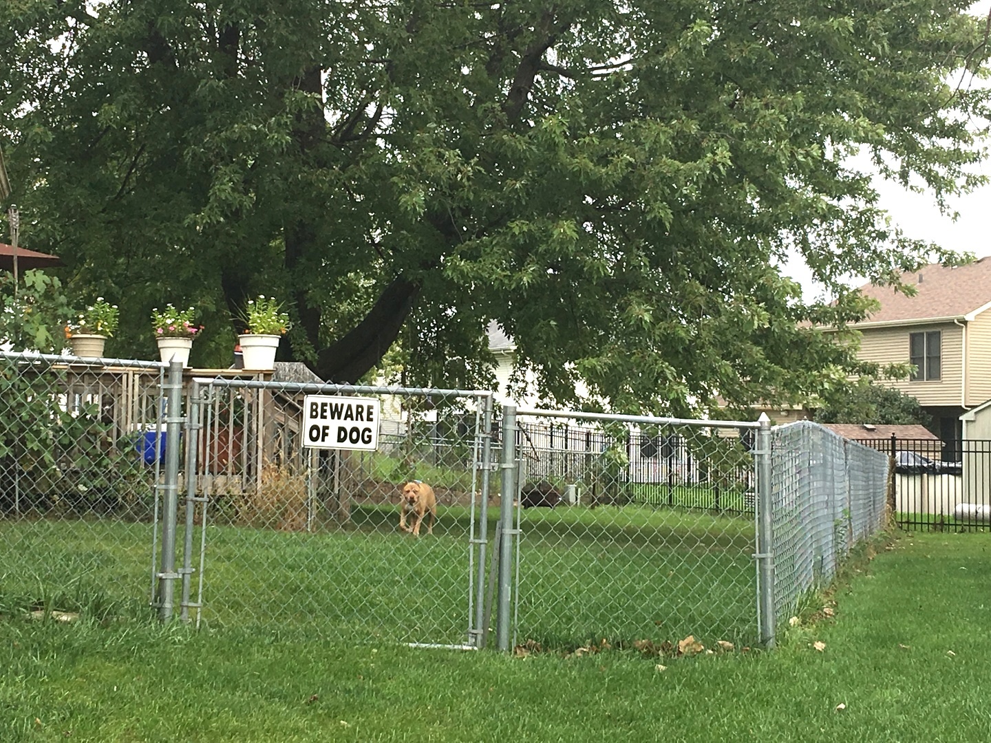 351 Juniper Court Carol Stream, IL 60188 - Photo 31 of 32