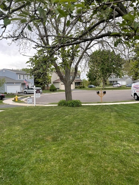 351 Juniper Court Carol Stream, IL 60188 - Photo 32 of 32