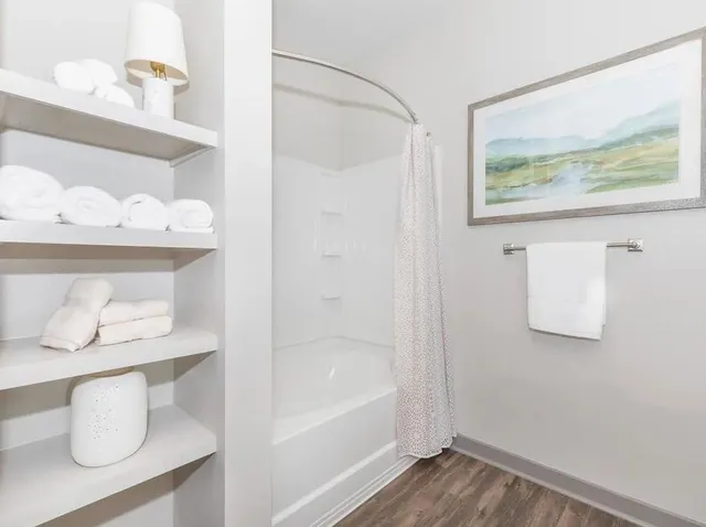 a bathroom with a bathtub