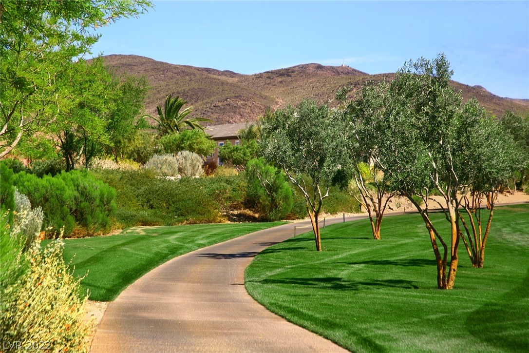 551 Grand Rim Drive Henderson, NV 89012 - Photo 20 of 31