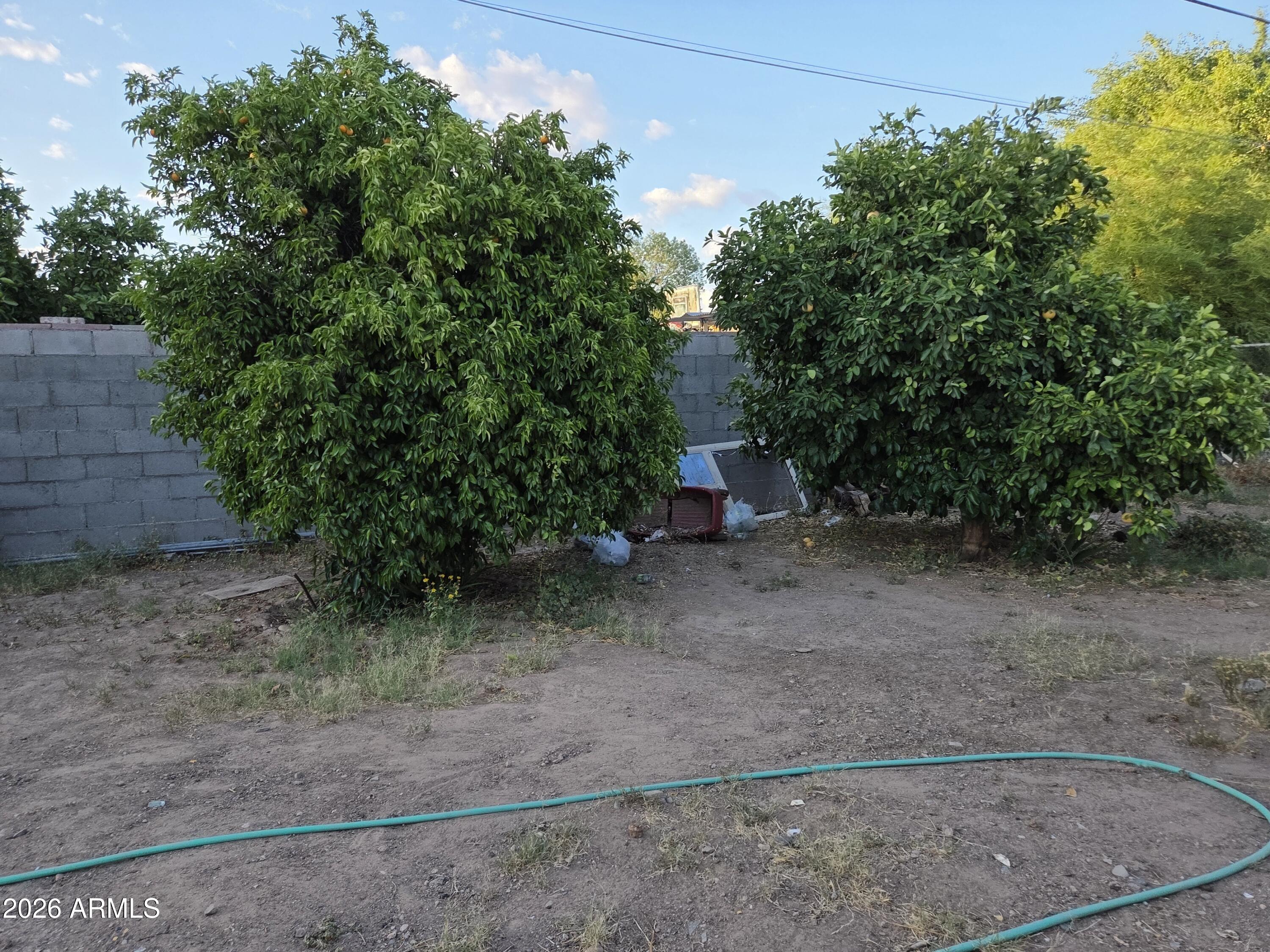 11930 West River Road El Mirage, AZ 85335 - Photo 11 of 17 mature trees