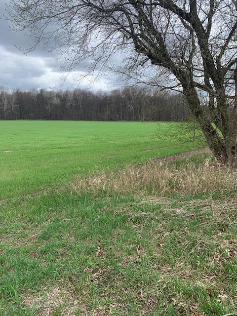 7510 19 Mile Road Northeast Cedar Springs, MI 49319 - Photo 1 of 1 IMG_4078