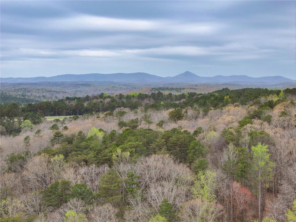 405 Wood Trace Ball Ground, GA 30107 - Photo 45 of 48