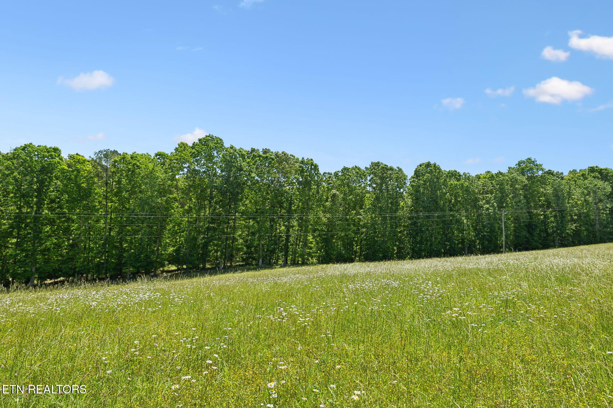 1460 Big Neck Road Grandview, TN 37337 - Photo 11 of 32 Rolling Fields