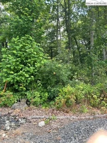 $69,900 | Lot 4 Timbersong, West Jefferson, NC 28694